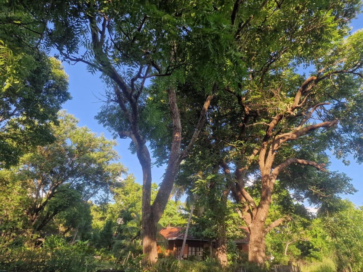Sigiriya Cottage Екстер'єр фото